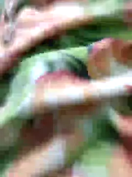 Snapshot of SILENT_FUCKER_01 chatting on December 17, 2024, 2:11 pm SILENT FUCKER 01 online show from December 17, 2024, 2:11 pm