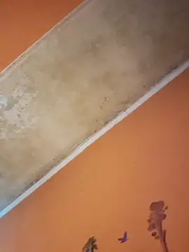 Snapshot of ducicsajsziii chatting on December 19, 2025, 12:45 pm ducicsajsziii online show from December 19, 2025, 12:45 pm