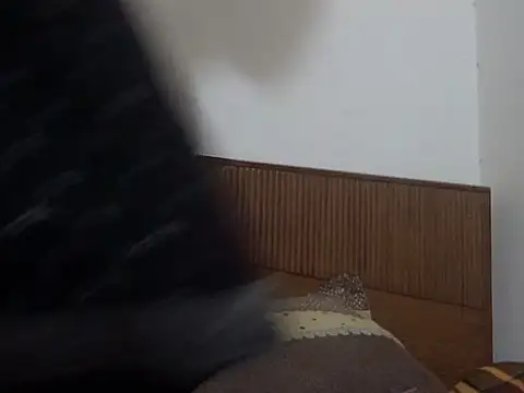 shekira99 online show from March 1, 2026, 1:57 pm