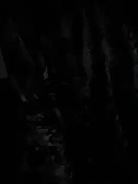 Snapshot of demonslayerr999 chatting on December 23, 2024, 6:33 am demonslayerr999 online show from December 23, 2024, 6:33 am