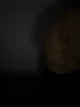 Snapshot of demonslayerr999 chatting on January 8, 2025, 9:53 am demonslayerr999 online show from January 8, 2025, 9:53 am