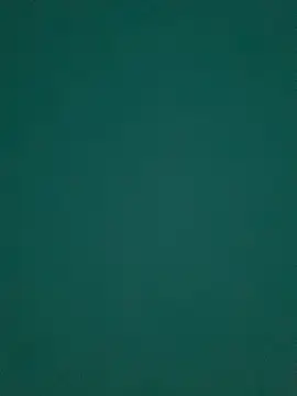 Ruby bear online show from March 8, 2025, 8:55 am