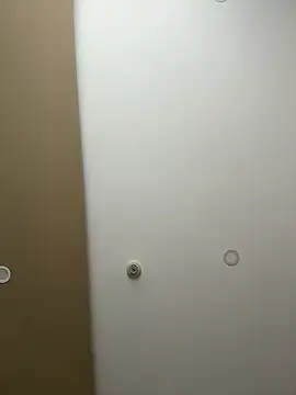 AmmyHot online show from March 29, 2026, 3:06 am