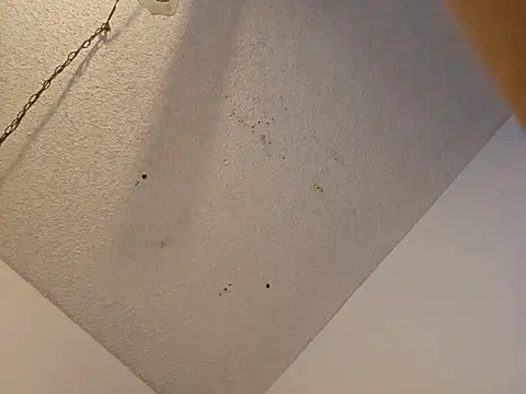 anyway2cum online show from January 19, 2025, 2:59 pm