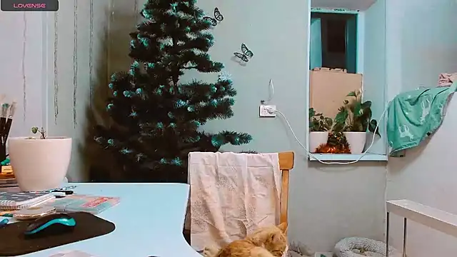 RosaJil online show from December 17, 2024, 3:06 pm