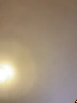 Snapshot of asianmama888 chatting on February 24, 2026, 12:41 am asianmama888 online show from February 24, 2026, 12:41 am