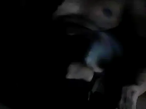 Snapshot of GRATEFUL16 chatting on February 6, 2025, 7:40 pm GRATEFUL16 online show from February 6, 2025, 7:40 pm