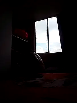 Cameron puppy online show from November 15, 2025, 8:38 pm