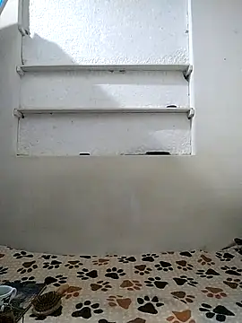 Snapshot of Cameron_puppy chatting on April 12, 2026, 10:20 am Cameron puppy online show from April 12, 2026, 10:20 am