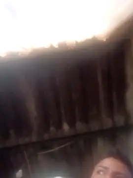 Snapshot of dantero chatting on January 14, 2025, 3:36 pm dantero online show from January 14, 2025, 3:36 pm