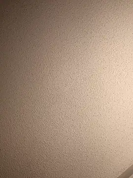 Treemandude online show from September 13, 2025, 6:02 am