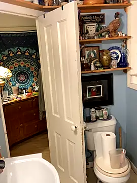 sexyasscougar online show from October 6, 2025, 7:39 am