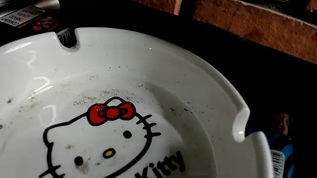 Nikole66  online show from October 31, 2025, 11:28 pm