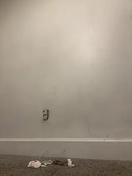 Atlantalitty online show from January 11, 2025, 11:46 pm