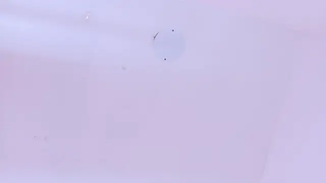 LoveQueen2 online show from March 20, 2026, 11:48 am