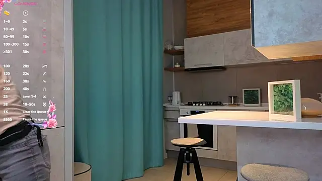 DonnaBurkee online show from December 4, 2025, 4:11 am