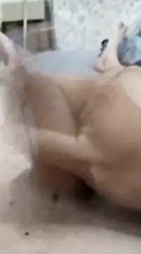 quierodarleche69 online show from January 20, 2025, 3:26 am