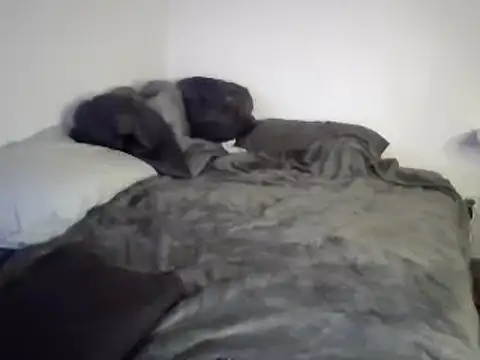 Iliketocooksquirt25 online show from March 3, 2025, 8:05 am