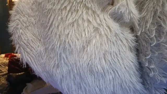 PropertyAndBiker online show from December 6, 2024, 2:24 am