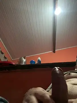 brunogordin69 online show from September 25, 2025, 7:01 am