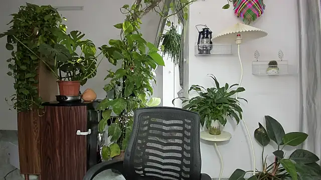 Snapshot of Oliver_Nl chatting on November 17, 2025, 5:24 am Oliver Nl online show from November 17, 2025, 5:24 am