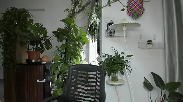 Snapshot of Oliver_Nl chatting on November 19, 2025, 4:56 am Oliver Nl online show from November 19, 2025, 4:56 am