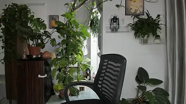 Snapshot of Oliver_Nl chatting on November 28, 2025, 4:48 am Oliver Nl online show from November 28, 2025, 4:48 am