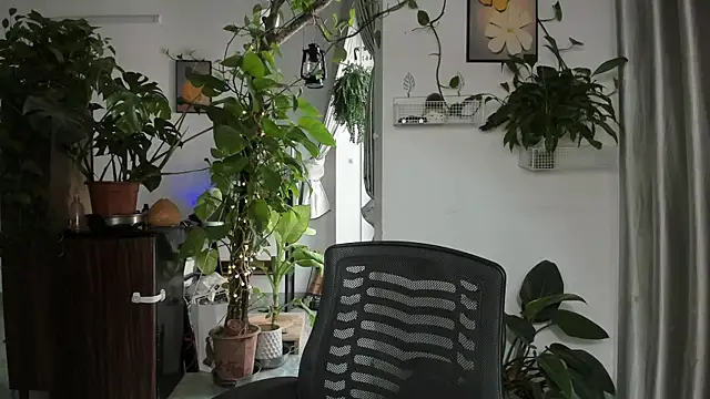 Snapshot of Oliver_Nl chatting on December 14, 2025, 5:02 am Oliver Nl online show from December 14, 2025, 5:02 am