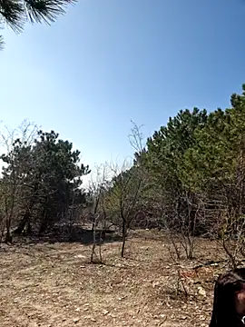 -Pupsiki- online show from March 13, 2026, 8:10 am