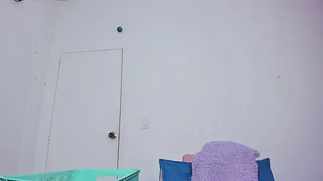 Snapshot of little_sam_ chatting on February 18, 2025, 3:10 am little sam online show from February 18, 2025, 3:10 am