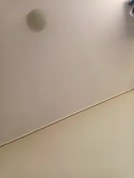 zafka 9 online show from April 8, 2026, 4:07 pm