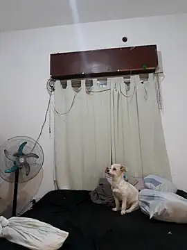 Snapshot of Shura_xxxBig chatting on October 20, 2025, 12:11 am Shura xxxBig online show from October 20, 2025, 12:11 am