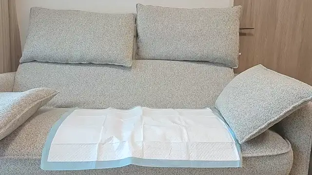 Ema japanese online show from November 20, 2025, 6:13 am