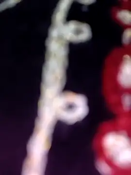 Anamika 24 online show from November 8, 2025, 4:34 am