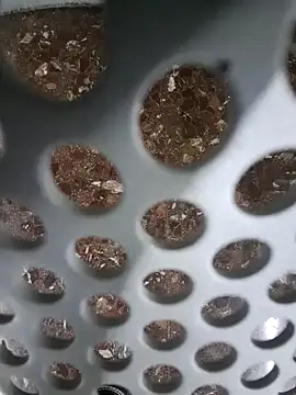 SexyErola27 online show from December 6, 2024, 11:11 am