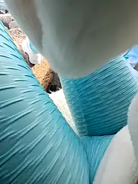 SexyErola27 online show from January 24, 2025, 3:13 pm