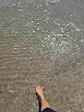 Snapshot of SexyErola27 chatting on March 24, 2026, 12:32 pm SexyErola27 online show from March 24, 2026, 12:32 pm