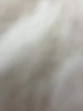 NewLale online show from January 27, 2025, 6:30 am