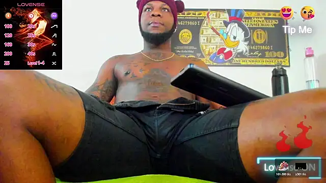 wotton 17 online show from November 5, 2025, 5:35 pm