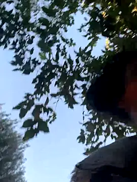 starrynikki online show from October 24, 2025, 2:24 pm