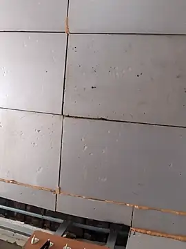 Boysex227 online show from March 27, 2026, 7:36 am