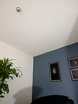 SilvaBranko online show from November 9, 2025, 1:04 am