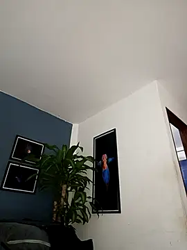 Snapshot of SilvaBranko chatting on December 18, 2025, 12:06 am SilvaBranko online show from December 18, 2025, 12:06 am