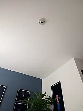 Snapshot of SilvaBranko chatting on December 23, 2025, 1:03 am SilvaBranko online show from December 23, 2025, 1:03 am