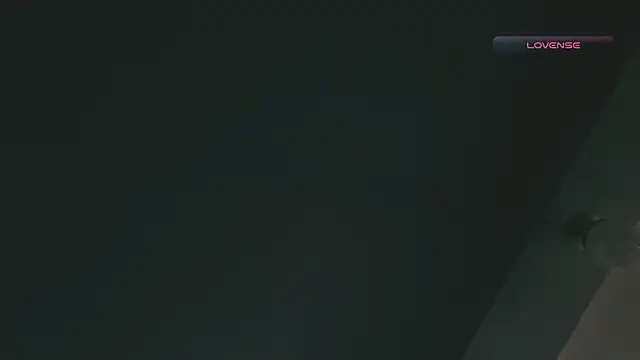 Snapshot of SilvaBranko chatting on February 17, 2026, 3:08 pm SilvaBranko online show from February 17, 2026, 3:08 pm