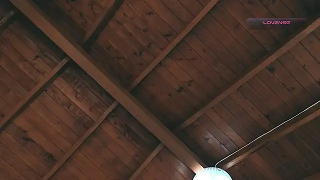 Snapshot of SilvaBranko chatting on March 2, 2026, 12:02 am SilvaBranko online show from March 2, 2026, 12:02 am