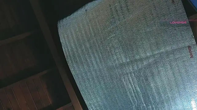 SilvaBranko online show from April 13, 2026, 1:11 am