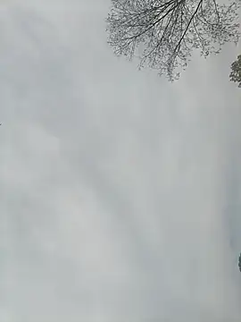 Snapshot of Nkumar173 chatting on February 13, 2025, 5:26 am Nkumar173 online show from February 13, 2025, 5:26 am