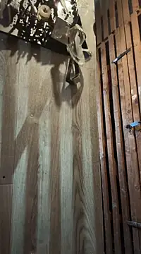 czruz online show from March 16, 2025, 10:22 am