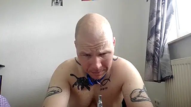 Snapshot of gaywolf426 chatting on May 15, 2026, 8:43 am gaywolf426 online show from May 15, 2026, 8:43 am